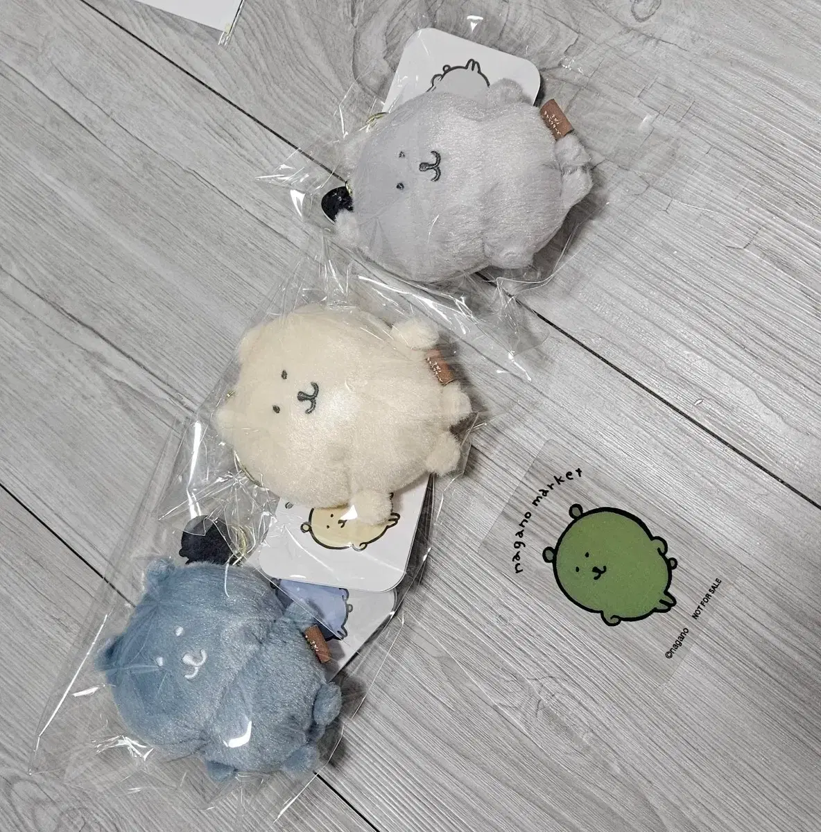 カラーナガノ韓国限定 バニラクールグレーブルーグレー